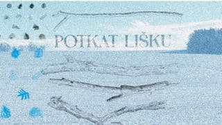 GALERIE DRAHOMÍRA VENDULA TOMŠŮ: POTKAT LIŠKU